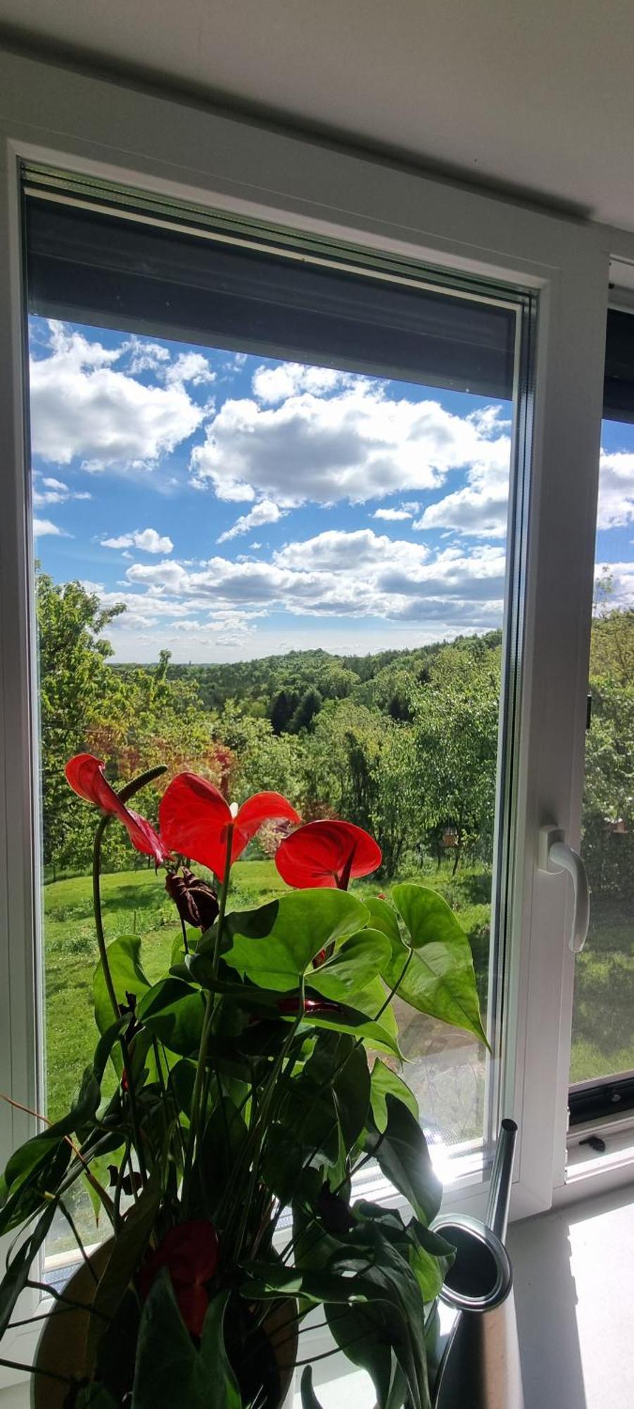 Villa Kunterbunt Kumberg Dış mekan fotoğraf